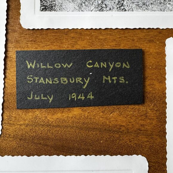Willow Canyon Stansbury Mountains Original 1944 Photographs Tooele Miner’s Shack - Picture 10 of 12